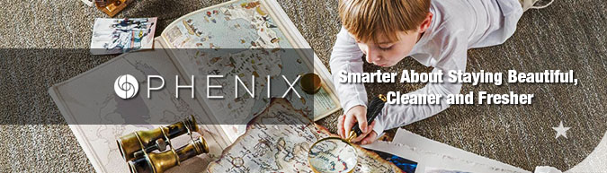 Phenix pattern carpet collection save 30-60% on sale
