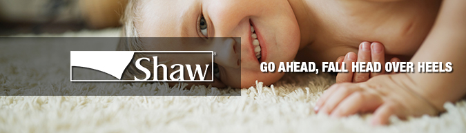 Shaw carpet collections at american carpet wholesalers