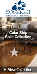 somerset color strip solid