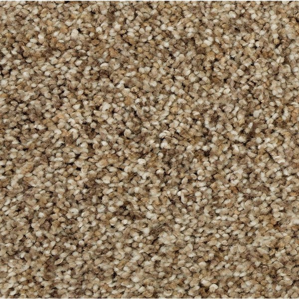 https://www.carpet-wholesale.com/itemimages/HORIZON%20CARPET/SP50%20(F)/horizon-carpet-sp50-f-sp50f--01-01f-hu.jpg