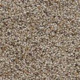 Shop Phenix Capri Coastline FP013-911 Carpet