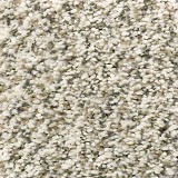 Buy Shaw D1000 Carpet Adhesive at Georgia Carpet for Low Price