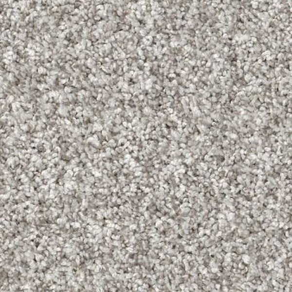 https://www.carpet-wholesale.com/itemimages/SHAW%20FLOORS/YES%20YOU%20CAN%20I%2012'/shaw-floors-yes-you-can-i-12'-5e568--frozen-107-hu.jpg