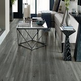 Shaw Luxury Vinyl Paragon 7 inch Plank Plus Fresh Pine