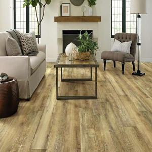 Shaw Luxury Vinyl Paragon XL HD Plank Plus Shaw Floorte Pro Hazelnut Oak